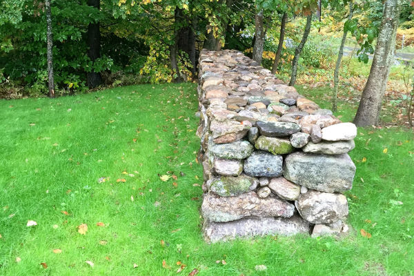 dry stone wall and trees